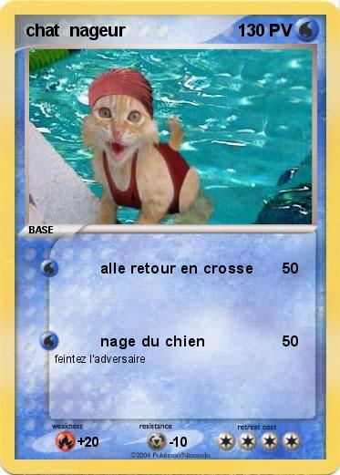 Pokemon chat  nageur
