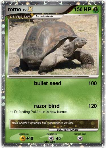Pokemon torno