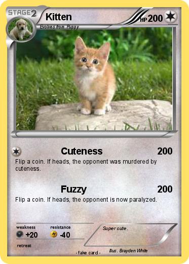Pokemon Kitten