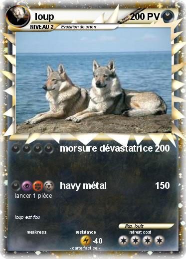 Pokemon loup