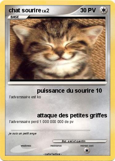 Pokemon chat sourire