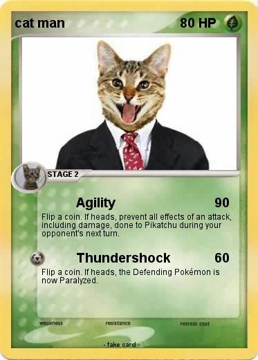 Pokemon cat man