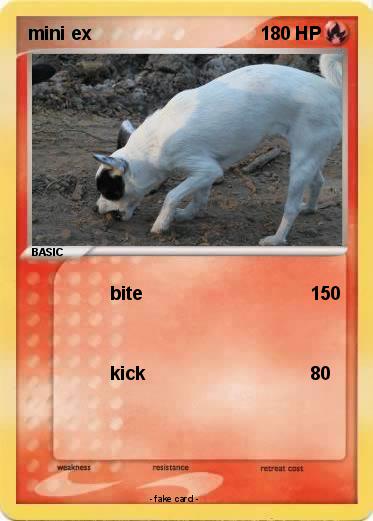 Pokemon mini ex