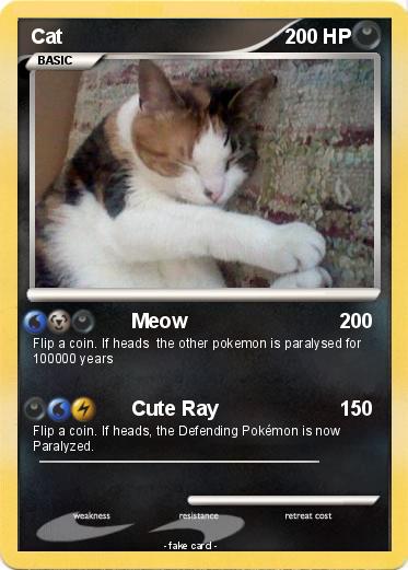Pokemon Cat