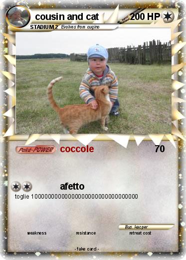 Pokemon cousin and cat