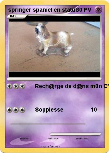 Pokemon springer spaniel en statue