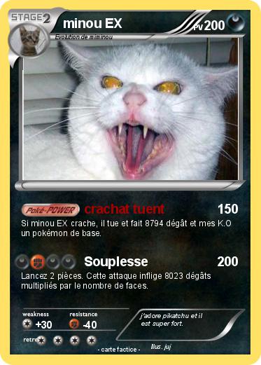 Pokemon minou EX