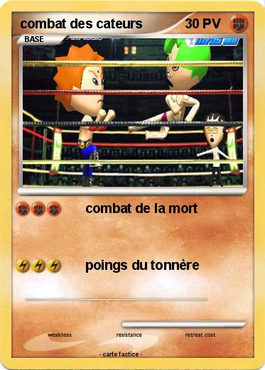 Pokemon combat des cateurs