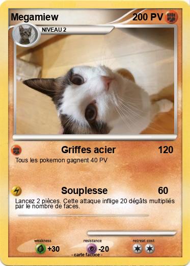 Pokemon Megamiew