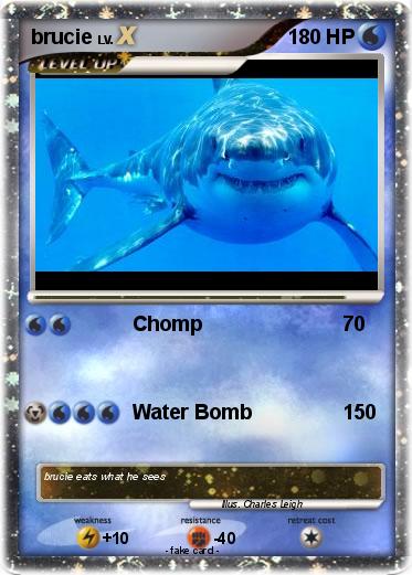 Pokemon brucie