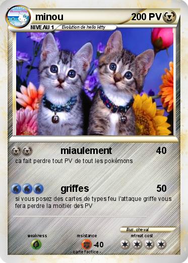 Pokemon minou