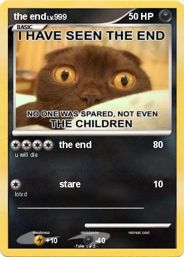 Pokemon the end