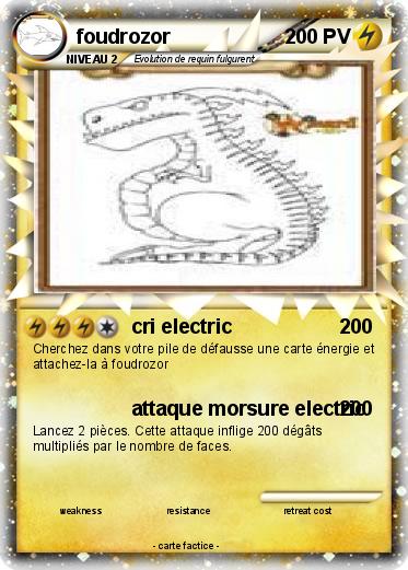 Pokemon foudrozor