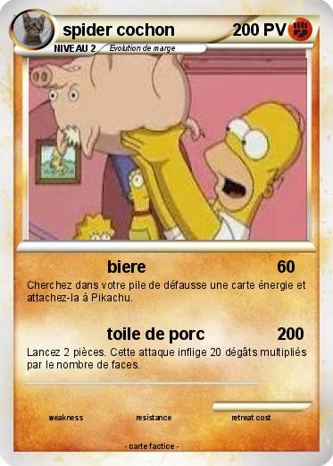 Pokemon spider cochon