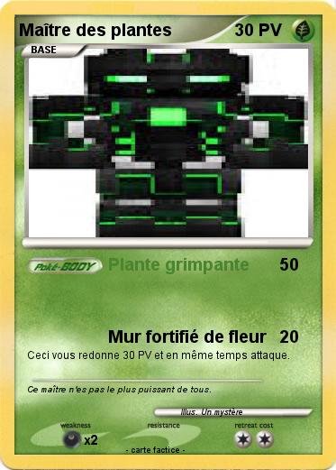 Pokemon Maître des plantes