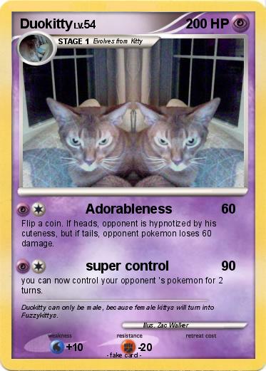 Pokemon Duokitty
