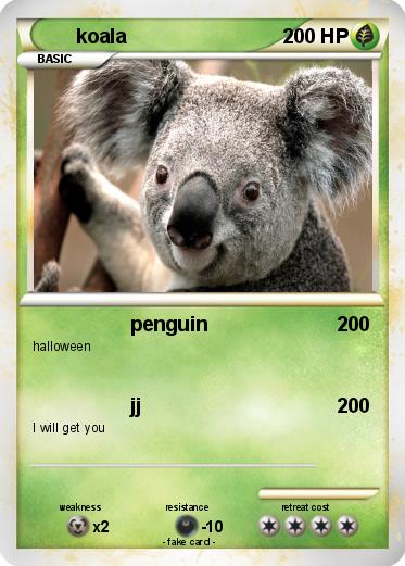 Pokemon koala