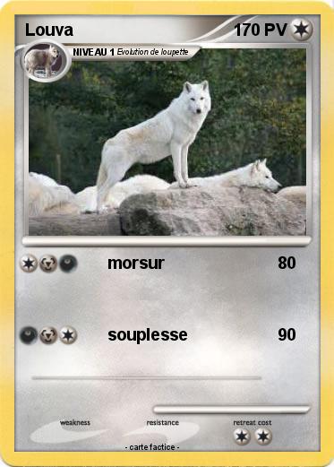 Pokemon Louva
