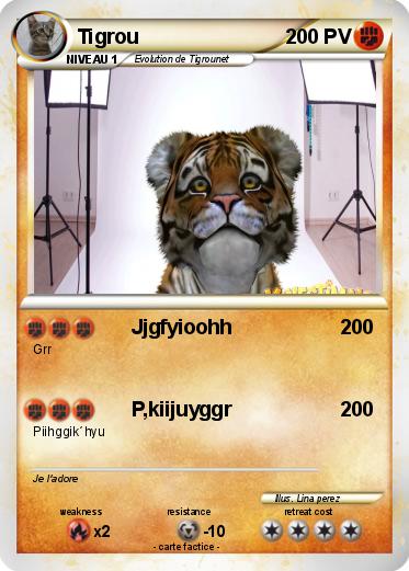 Pokemon Tigrou