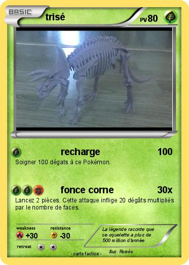Pokemon trisé