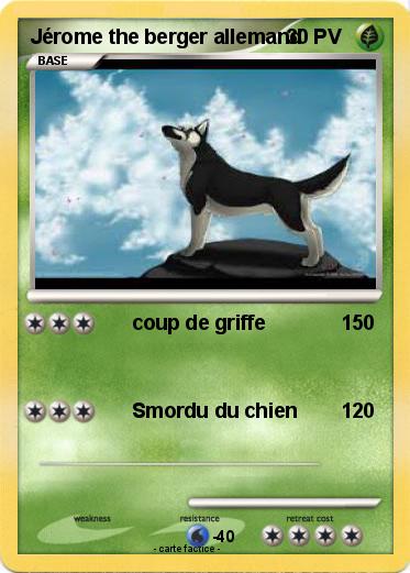 Pokemon Jérome the berger allemand