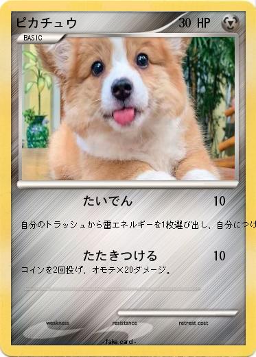 Pokemon ピカチュウ