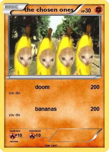 Pokemon the chosen ones