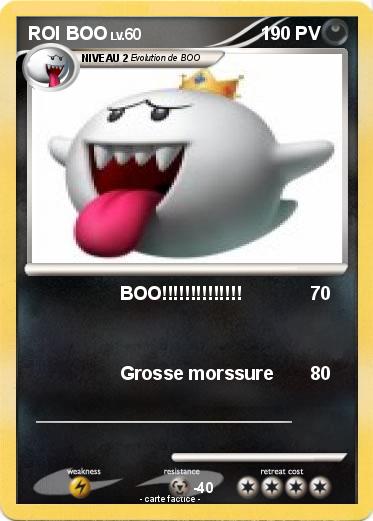 Pokemon ROI BOO