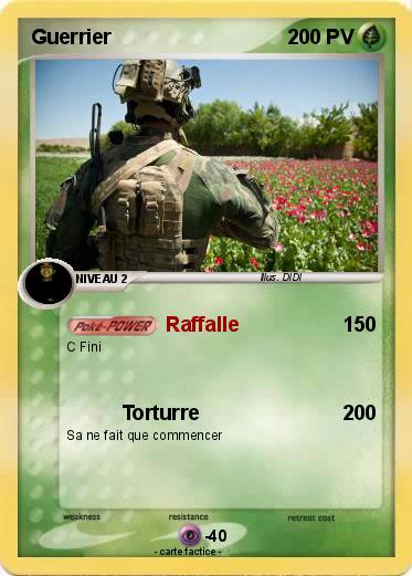 Pokemon Guerrier