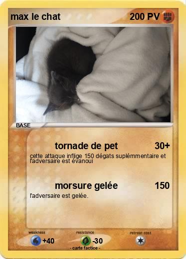 Pokemon max le chat
