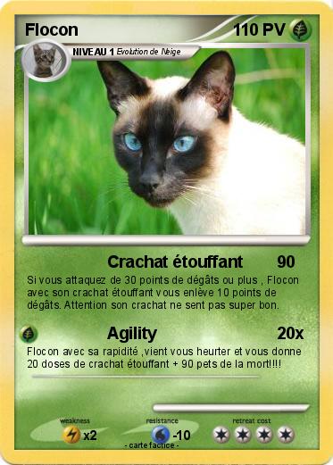 Pokemon Flocon