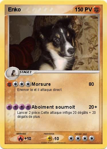 Pokemon Enko