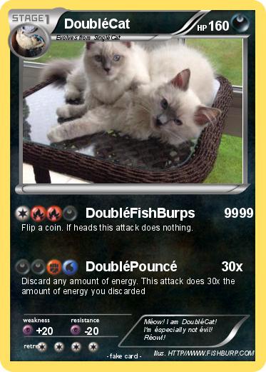 Pokemon DoubléCat