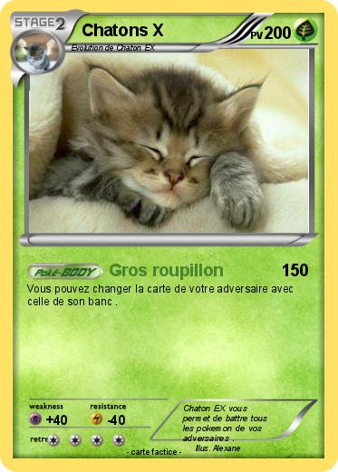 Pokemon Chatons X