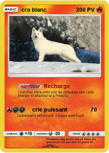 Pokemon cro blanc