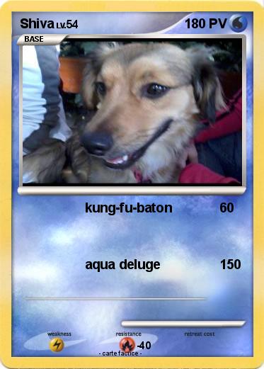 Pokemon Shiva
