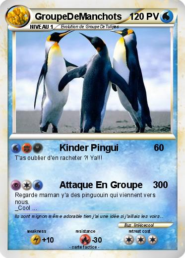 Pokemon GroupeDeManchots