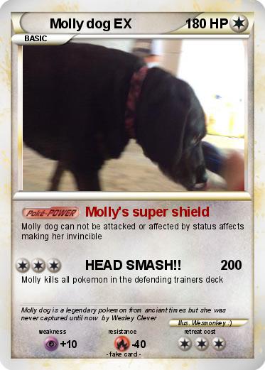 Pokemon Molly dog EX