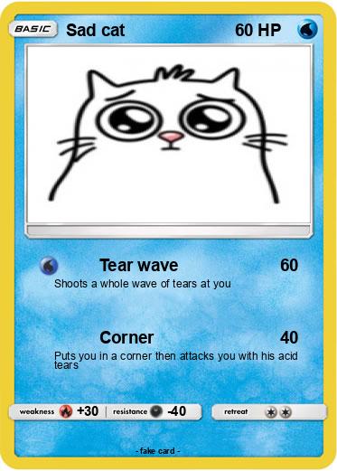 Pokemon Sad cat