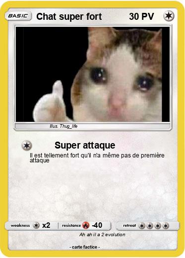 Pokemon Chat super fort