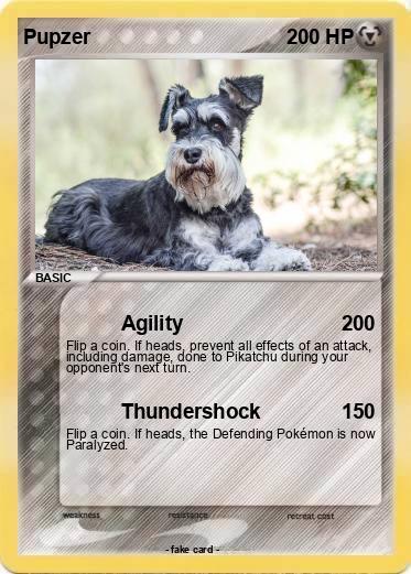 Pokemon Pupzer