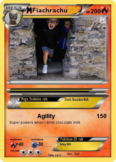 Pokemon Fiachrachu