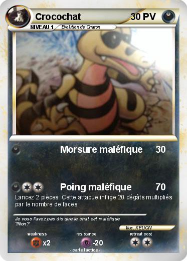 Pokemon Crocochat
