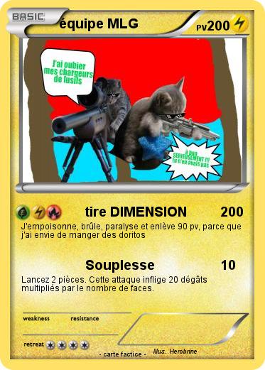 Pokemon équipe MLG