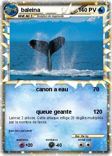 Pokemon baleina