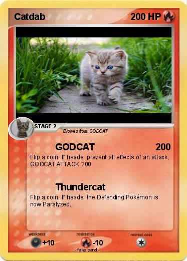 Pokemon Catdab