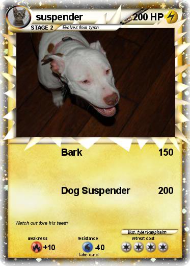 Pokemon suspender