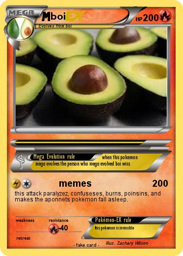 Pokemon boi