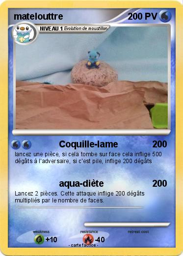 Pokemon matelouttre