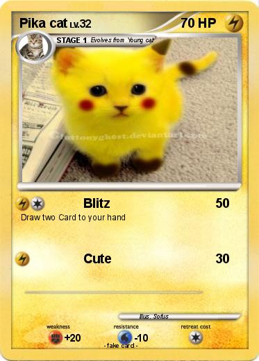 Pokemon Pika cat